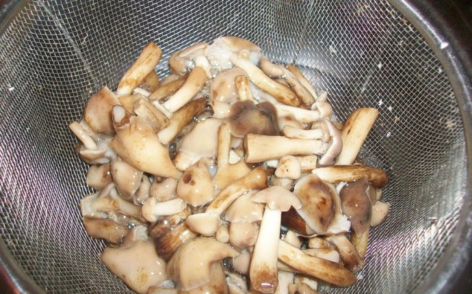 Салат из маринованных опят с луком. Маринованные грибы с луком: фото к шагу 2.