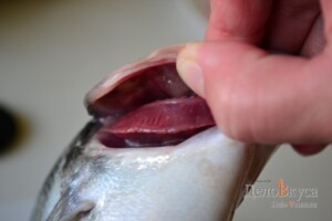 Как выбирать и чистить свежую рыбу дорадо: фото к шагу 2.