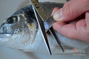 Как выбирать и чистить свежую рыбу дорадо: фото к шагу 5.