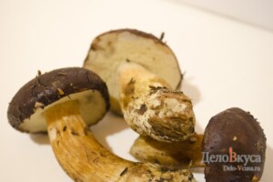 Польский гриб. Как собирать, чистить и варить польский гриб: фото к шагу 1.