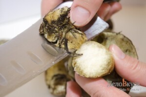 Польский гриб. Как собирать, чистить и варить польский гриб: фото к шагу 4.