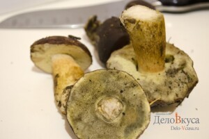 Польский гриб. Как собирать, чистить и варить польский гриб: фото к шагу 3.