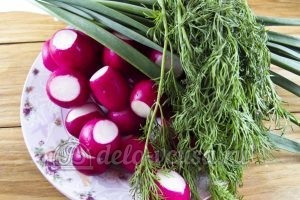 Салат из редиски и зеленого лука: Ингредиенты