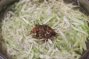 Красный борщ с фасолью: Добавляем в бульон с капустой овощную приправу