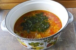 Суп харчо из говядины: Добавляем нарезанную зелень