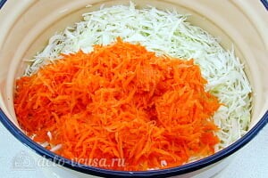Квашеная капуста с тмином: Соединяем капусту и морковь