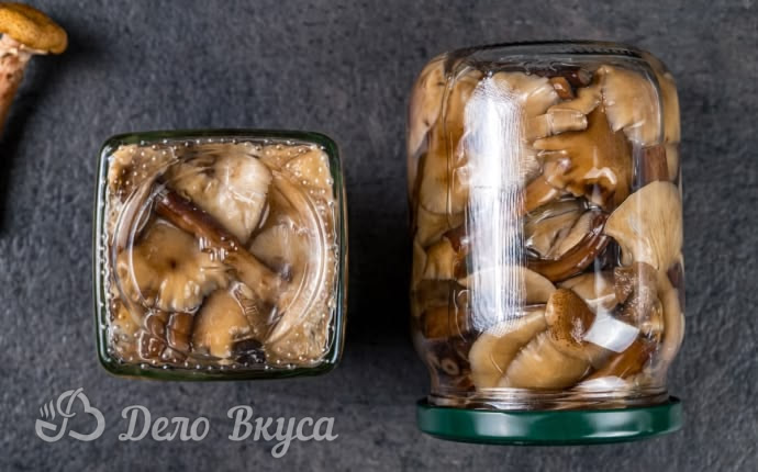 Закатанные на зиму банки с маринованными опятами